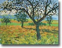 Vallée de Chauvry, contre-jour le soir