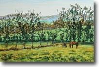 Chevaux dans l'Oise